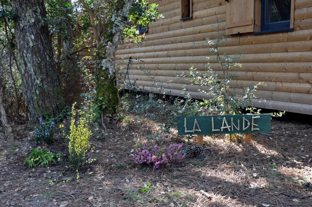 Chalet la lande Ondres Extérieur photo